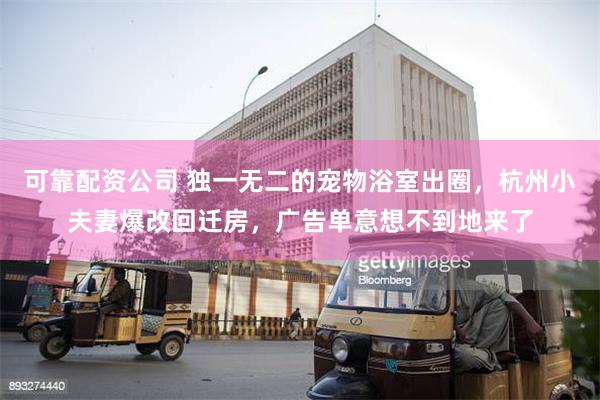 可靠配资公司 独一无二的宠物浴室出圈，杭州小夫妻爆改回迁房，广告单意想不到地来了