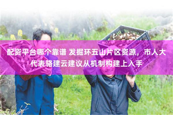 配资平台哪个靠谱 发掘环五山片区资源，市人大代表骆建云建议从机制构建上入手