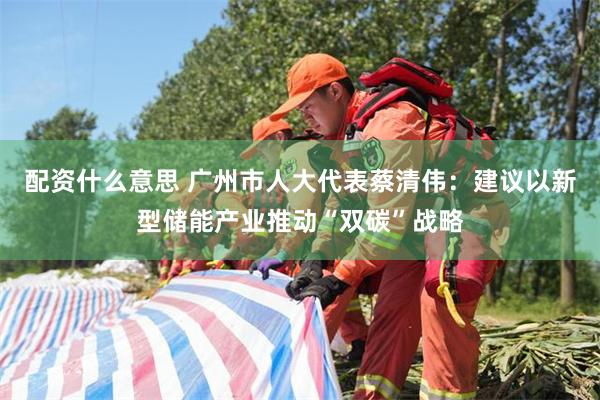 配资什么意思 广州市人大代表蔡清伟：建议以新型储能产业推动“双碳”战略