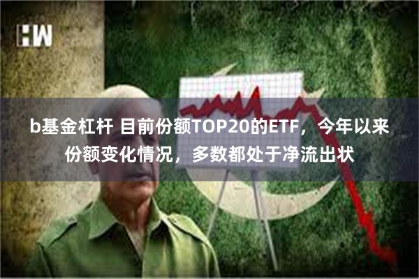 b基金杠杆 目前份额TOP20的ETF，今年以来份额变化情况，多数都处于净流出状