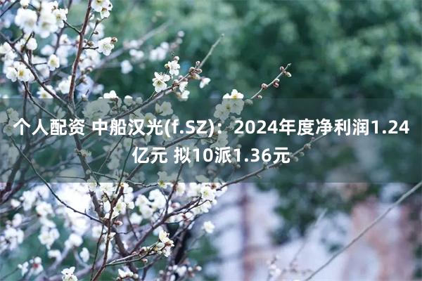 个人配资 中船汉光(f.SZ)：2024年度净利润1.24亿元 拟10派1.36元