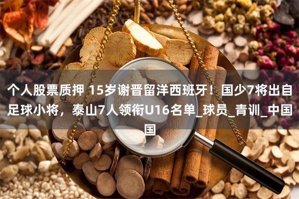 个人股票质押 15岁谢晋留洋西班牙！国少7将出自足球小将，泰山7人领衔U16名单_球员_青训_中国