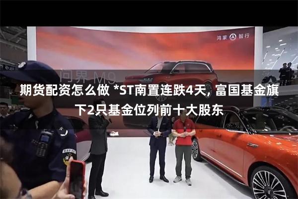 期货配资怎么做 *ST南置连跌4天, 富国基金旗下2只基金位列前十大股东