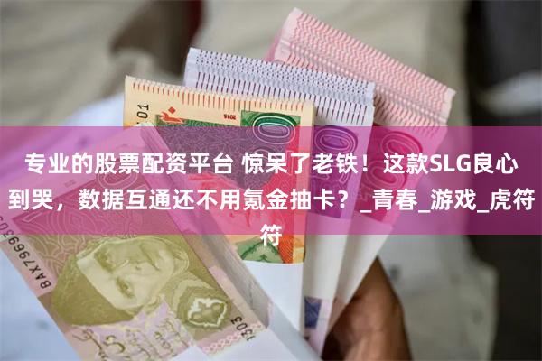 专业的股票配资平台 惊呆了老铁！这款SLG良心到哭，数据互通还不用氪金抽卡？_青春_游戏_虎符