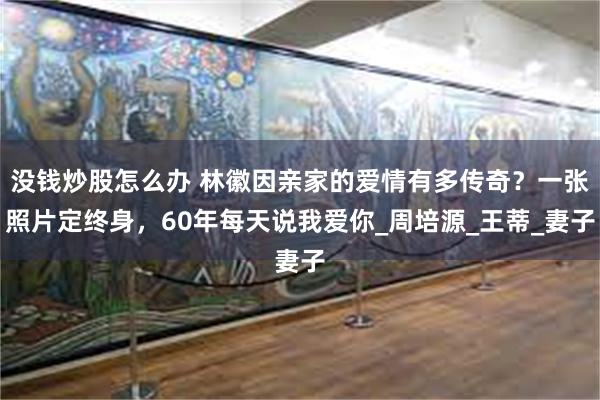 没钱炒股怎么办 林徽因亲家的爱情有多传奇？一张照片定终身，60年每天说我爱你_周培源_王蒂_妻子