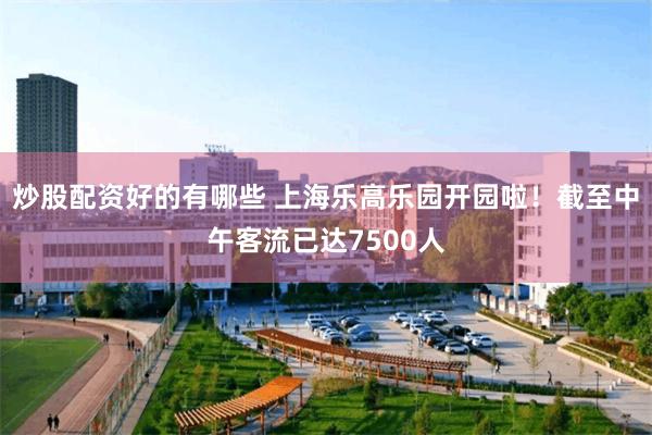 炒股配资好的有哪些 上海乐高乐园开园啦！截至中午客流已达7500人