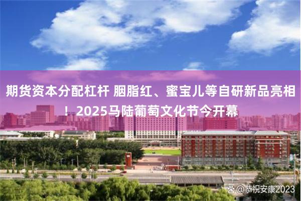 期货资本分配杠杆 胭脂红、蜜宝儿等自研新品亮相！2025马陆葡萄文化节今开幕