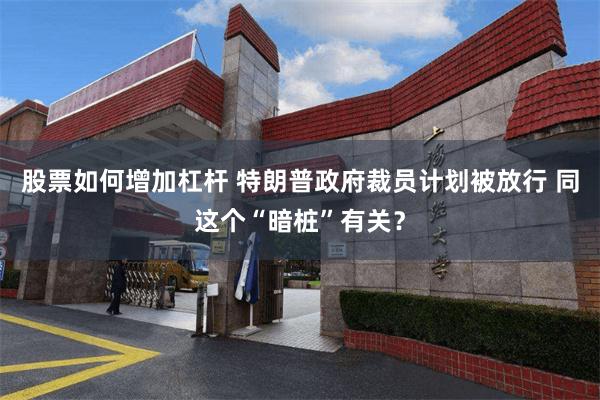 股票如何增加杠杆 特朗普政府裁员计划被放行 同这个“暗桩”有关？