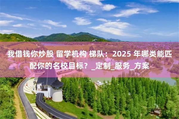 我借钱你炒股 留学机构 梯队：2025 年哪类能匹配你的名校目标？_定制_服务_方案