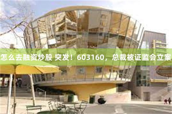 怎么去融资炒股 突发！603160，总裁被证监会立案